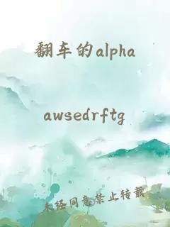 翻车的alpha