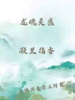 龙魂灵医