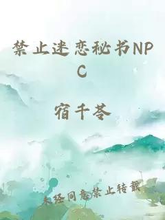 禁止迷恋秘书NPC