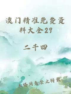 澳门精准免费资料大全29