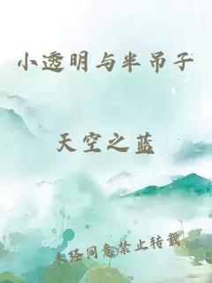 小透明与半吊子