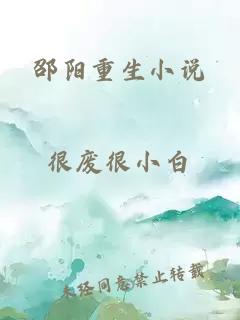 邵阳重生小说