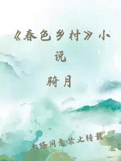 《春色乡村》小说