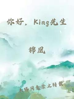 你好，King先生