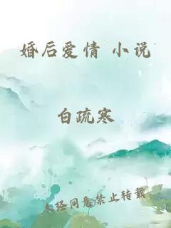 婚后爱情 小说