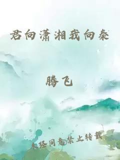 君向潇湘我向秦