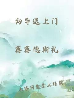 向导送上门