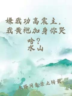 嫌我功高震主，我黄袍加身你哭啥？