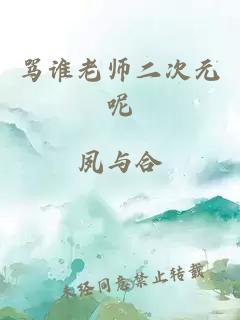 骂谁老师二次元呢