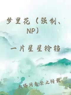 梦里花（强制、NP）