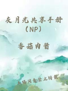 灰月光共享手册（NP）