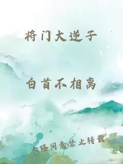 将门大逆子