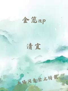 金笼np