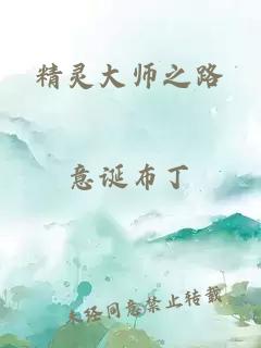 精灵大师之路