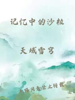 记忆中的沙粒