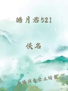 皓月君521